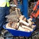 Our U10 Kubota mini digger fitted with a log splitter. Makes easy work splitting logs. We only need a 750mm width for access. Available for hire now. Call us for details. (01590) 636573.